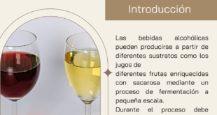 Fermentación alcohólica